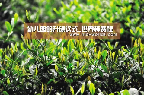2026世界杯