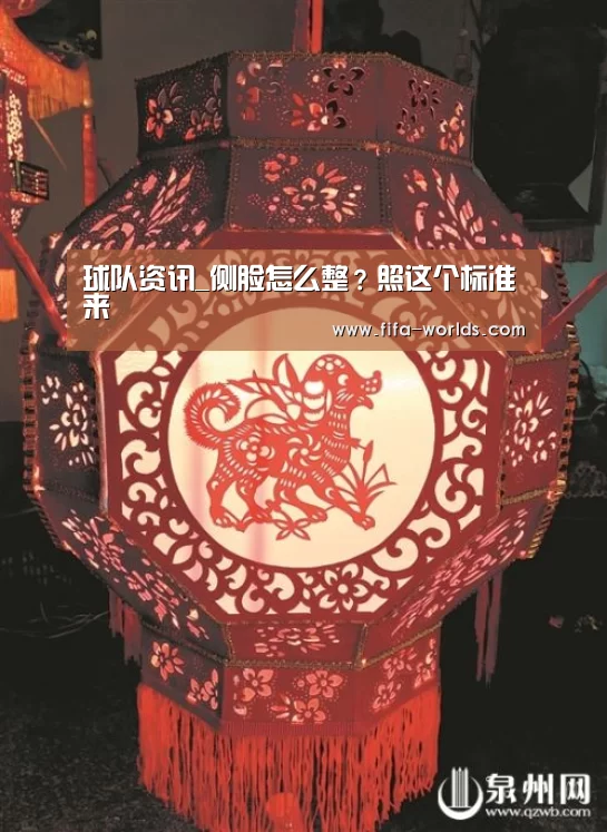 球队资讯_侧脸怎么整?照这个标准来(图1) FIFA世界杯