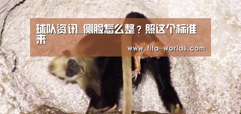 球队资讯_侧脸怎么整?照这个标准来(图4) 世界杯赛程